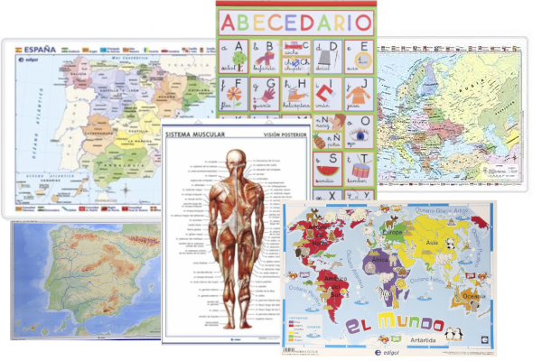 Algunas de las láminas educativas de Edigol Editorial